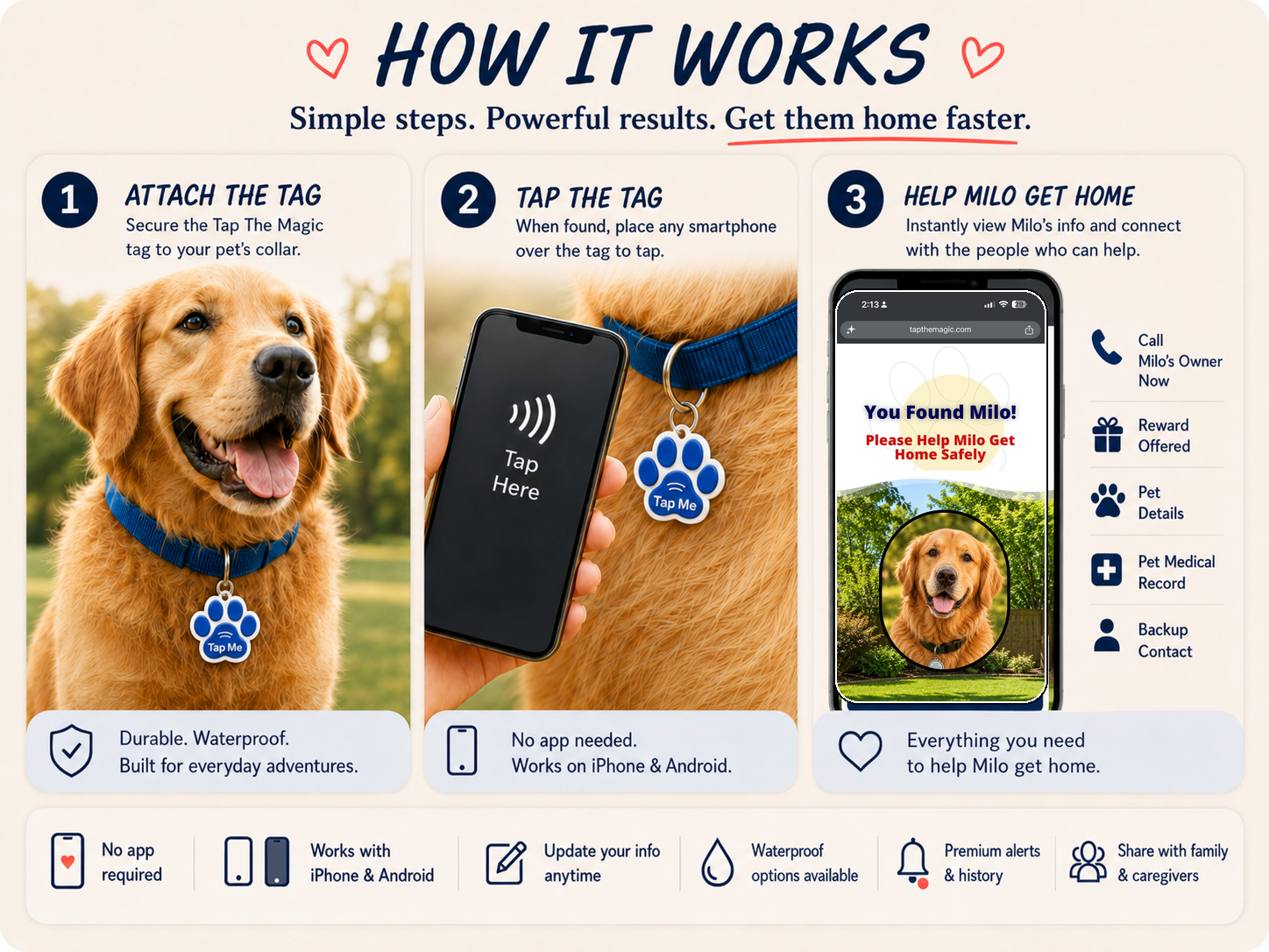 How Tap The Magic pet tags work